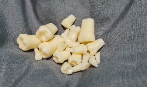 API Typodonts Individual -Pedo Size