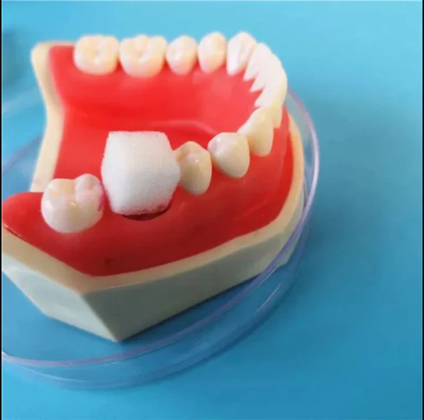 Angle Life Angiosponge Absorbable Gelatin Sponge 80 x 50 x 10mm (Pack of 2)