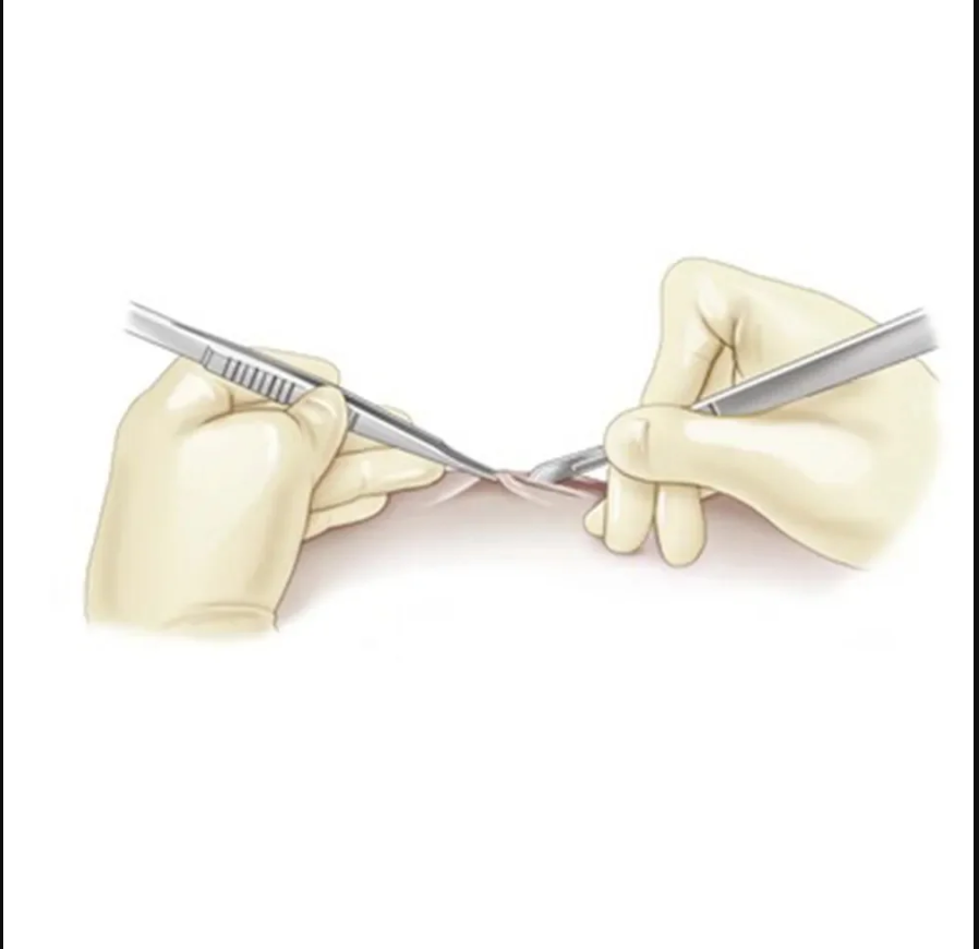 Fox Dressing Forceps Fine Plain 18cm / 7" - MS-018