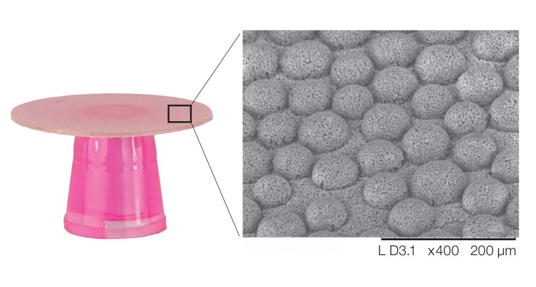 Shofu Super Snap Rainbow Technique Kit CA