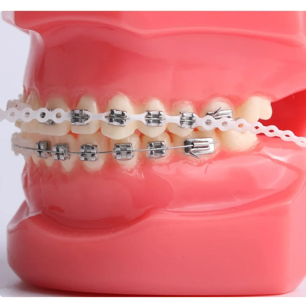 Prime Ortho Elastic Chains Short 10ft