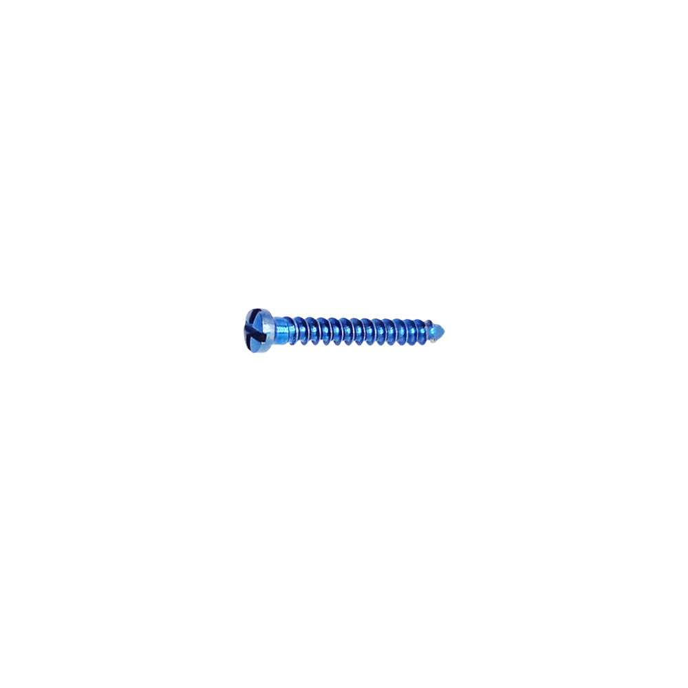 SK Surgicals Titanium Cross Head Screws - 2mm x 14mm (20014TC)
