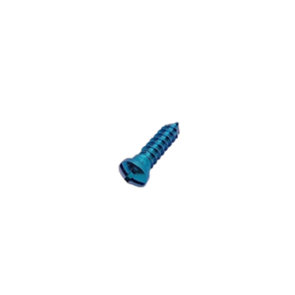 SK Surgicals Titanium Cross Head Screws - 2.5mm x 10mm (25010TC)
