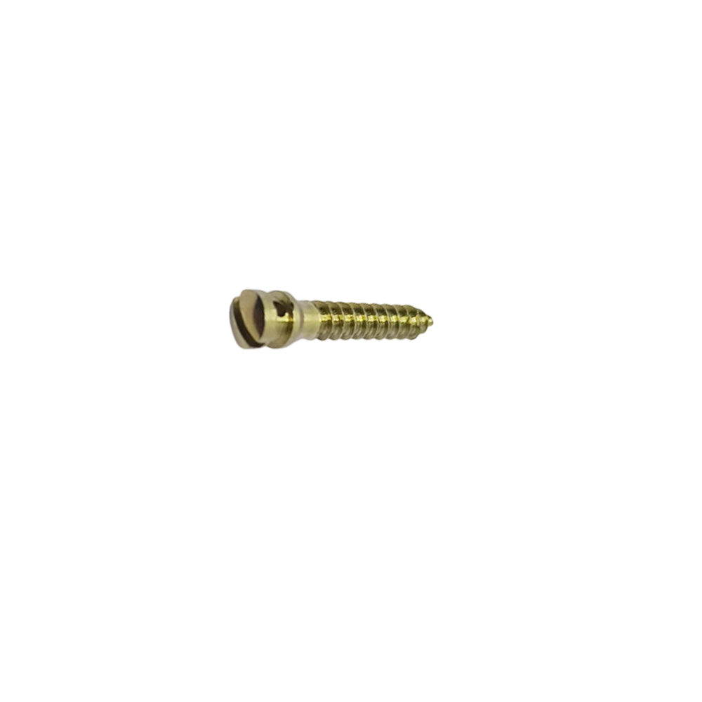 SK Surgicals Titanium IMF Screws - 2mm x 10mm (20010TI)
