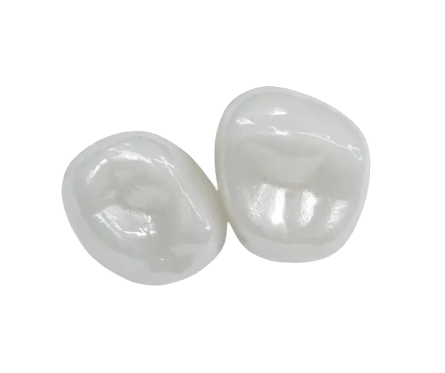 Kids-e-Crown Zirconia Lower Left 2nd Molar Refills
