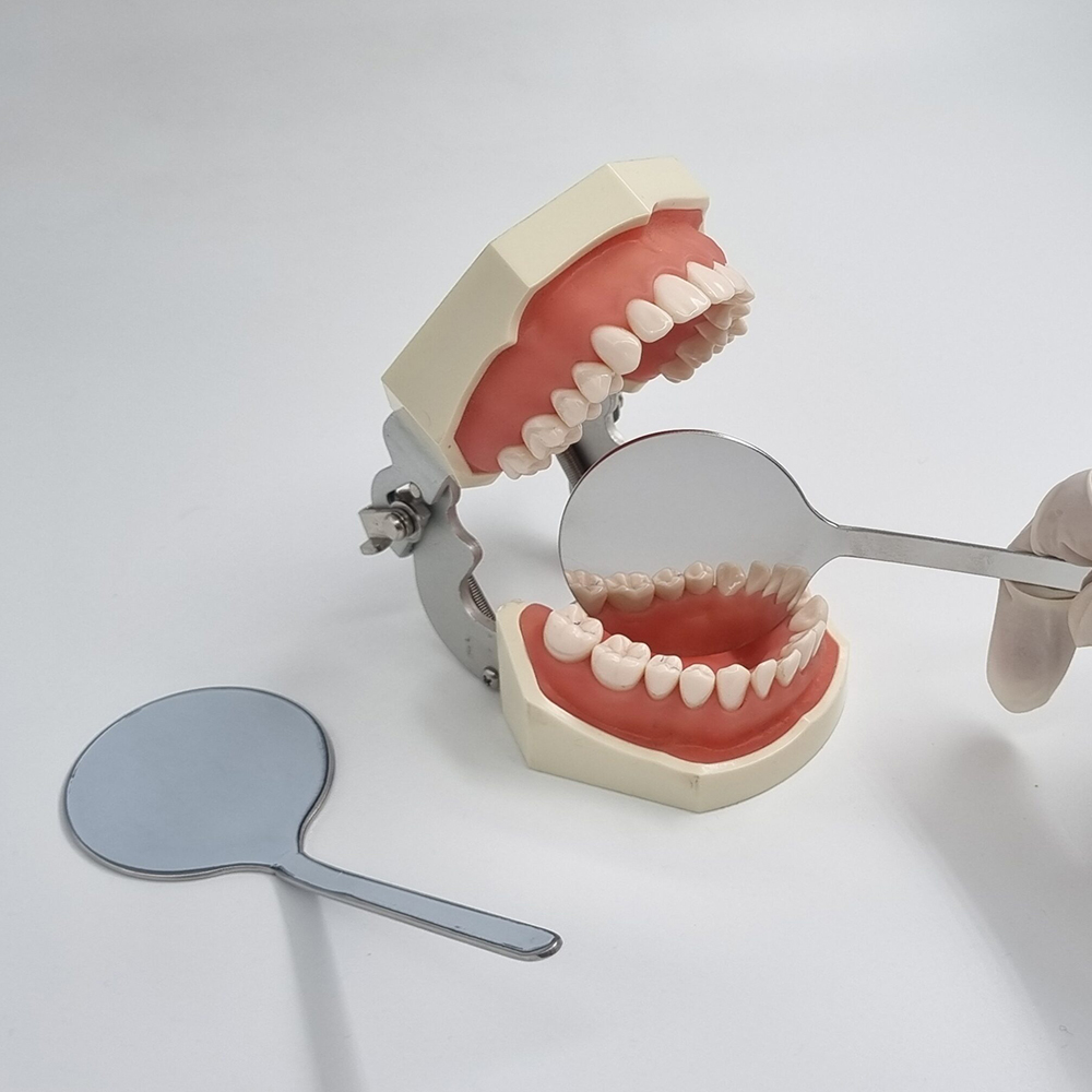 Julldent 115 Smart Mirror For Dental Photography