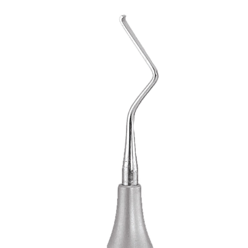 GDC Sickle Scalers #1 (So6/7)