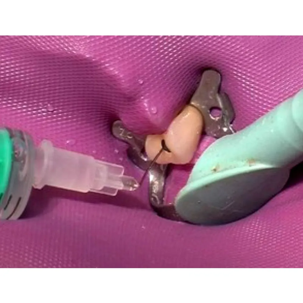 Waldent Sodium Hypochlorite 5%