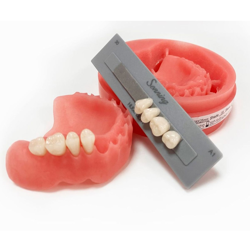 Huge Dental Sonning Acrylic Denture Teeth A1
