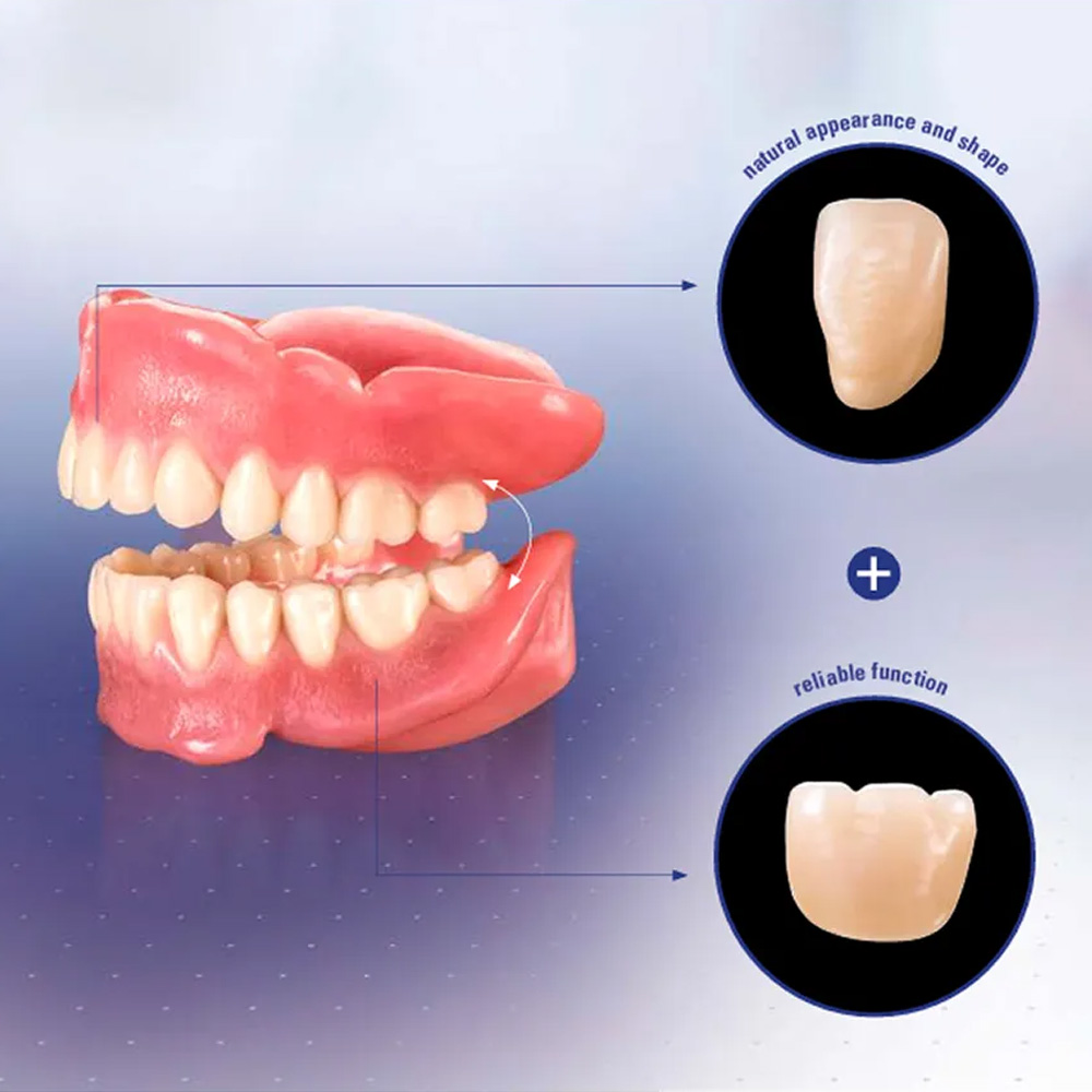 Huge Dental Sonning Acrylic Denture Teeth A1