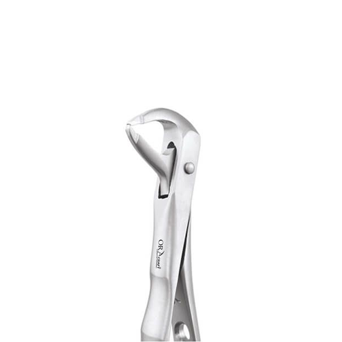 Oracraft Lower Roots Extraction Forceps - Atraumatic (AFX74N)