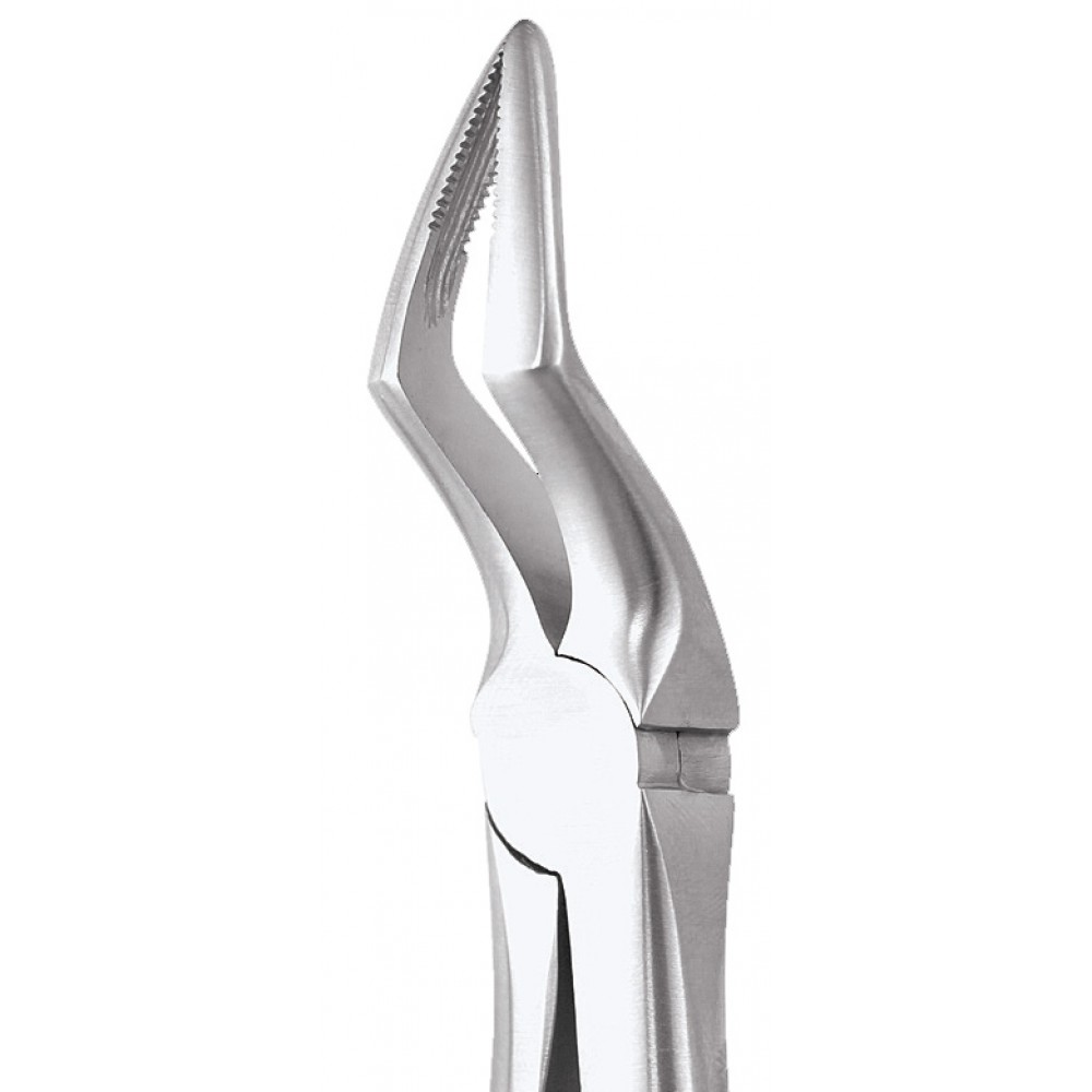 GDC Extraction Forceps Upper Roots - 51A Standard (FX51AS)