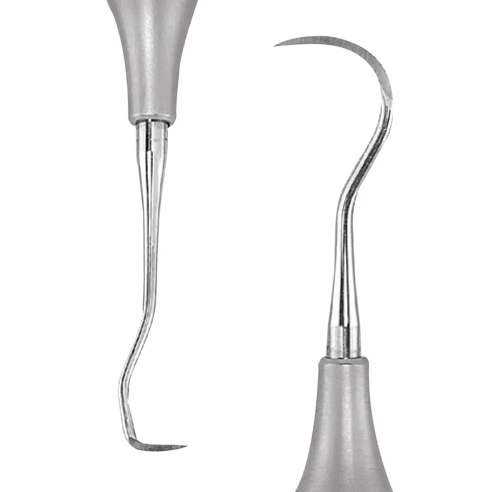 Gdc Sickle Scalers Anterior 6 Scnevi1 At Reasonable Price Dentalkart