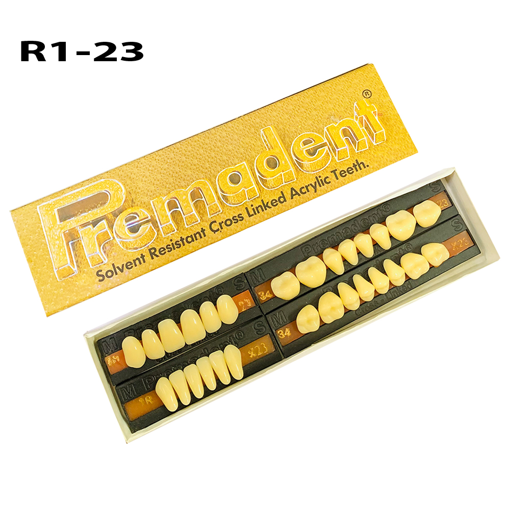 Premadent Teeth Set -R1-23