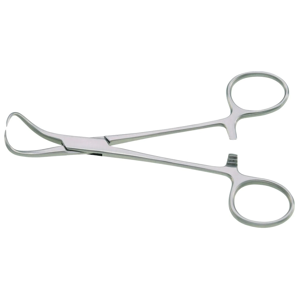 GDC Sterilizing Forceps Backhaus (13cm) (Tc5)
