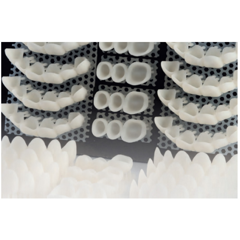 Arma Dental 3D Printing Resin - Temp (1 KG)  