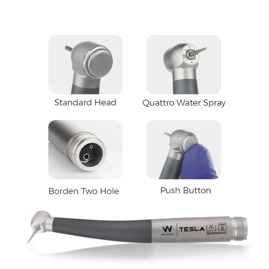 Waldent Tesla Airotor Standard Head (W-160)