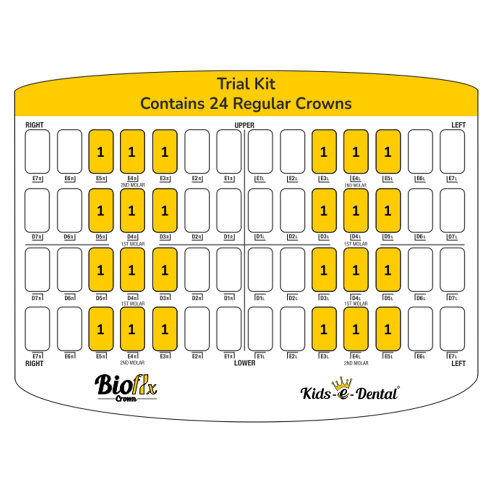 Kids-e-Dental Bioflx Posterior Crown Trial Kit (24 Crowns)