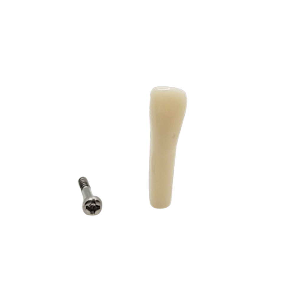 iDENTical Typodonts Lower Left Central Incisor For Nissin Type Jaw Set - Individual - 31