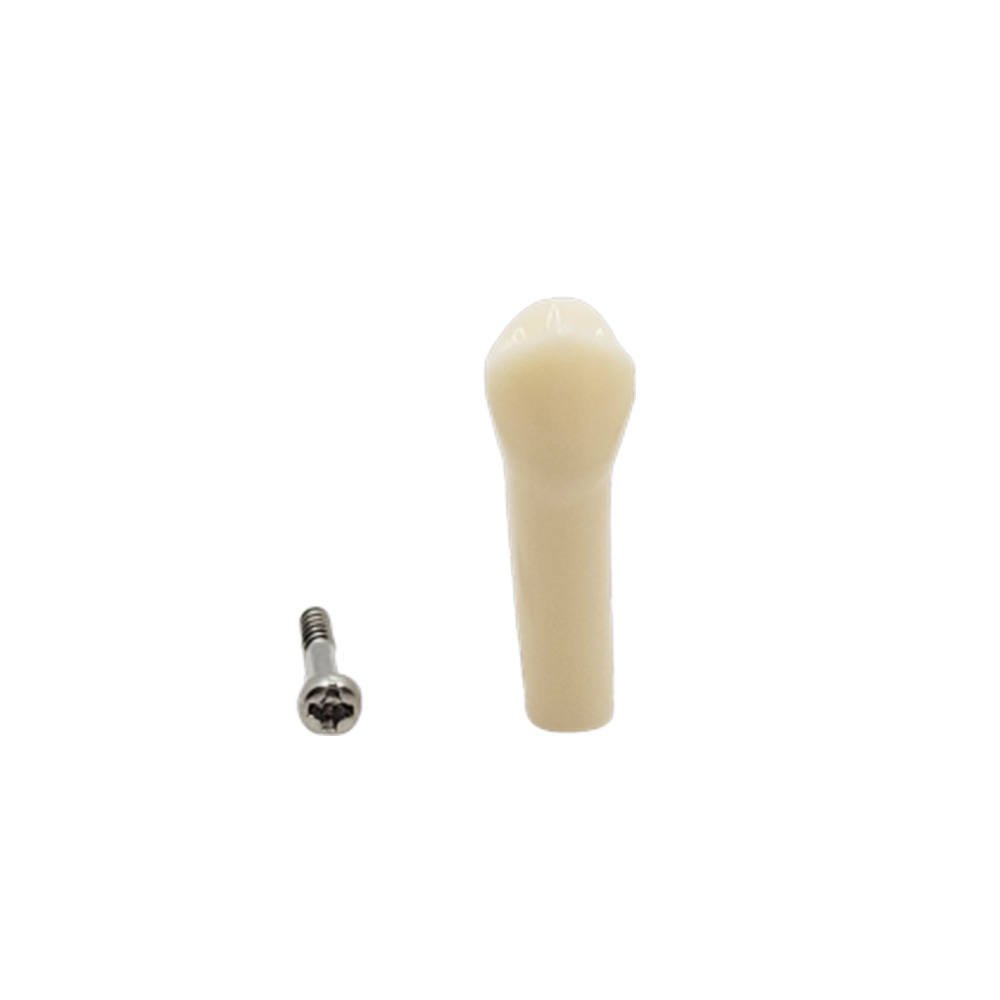 iDENTical Typodonts Upper Left Second Premolar For Nissin Type Jaw Set - Individual - 25