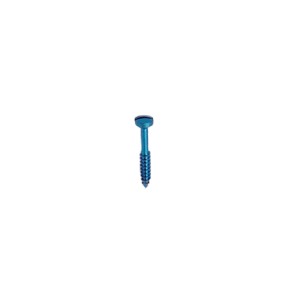 SK Surgicals Titanium Lag Screws - 2.5mm x 16mm (25016TL)