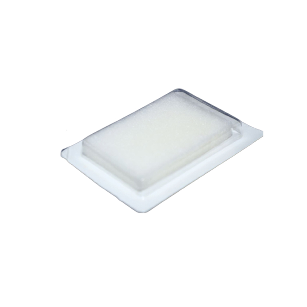 Goodwill Hemosponge 80x50x10 MM Absorbable Gelatin Sponge 2/pk - AGS851