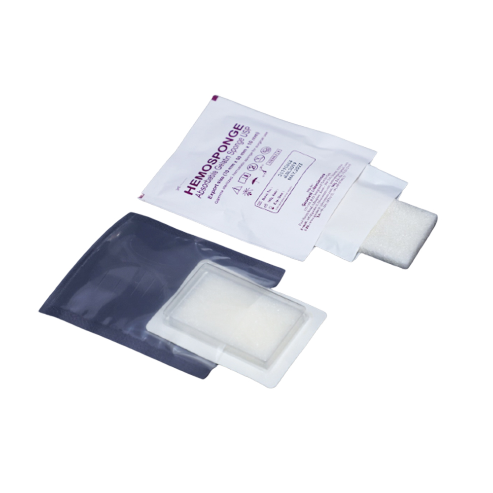 Goodwill Hemosponge 80x50x10 MM Absorbable Gelatin Sponge 2/pk - AGS851