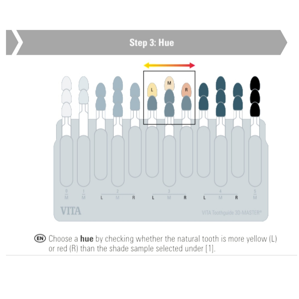 Buy Vita Toothguide 3D-Master with Bleached Shades with Efficient