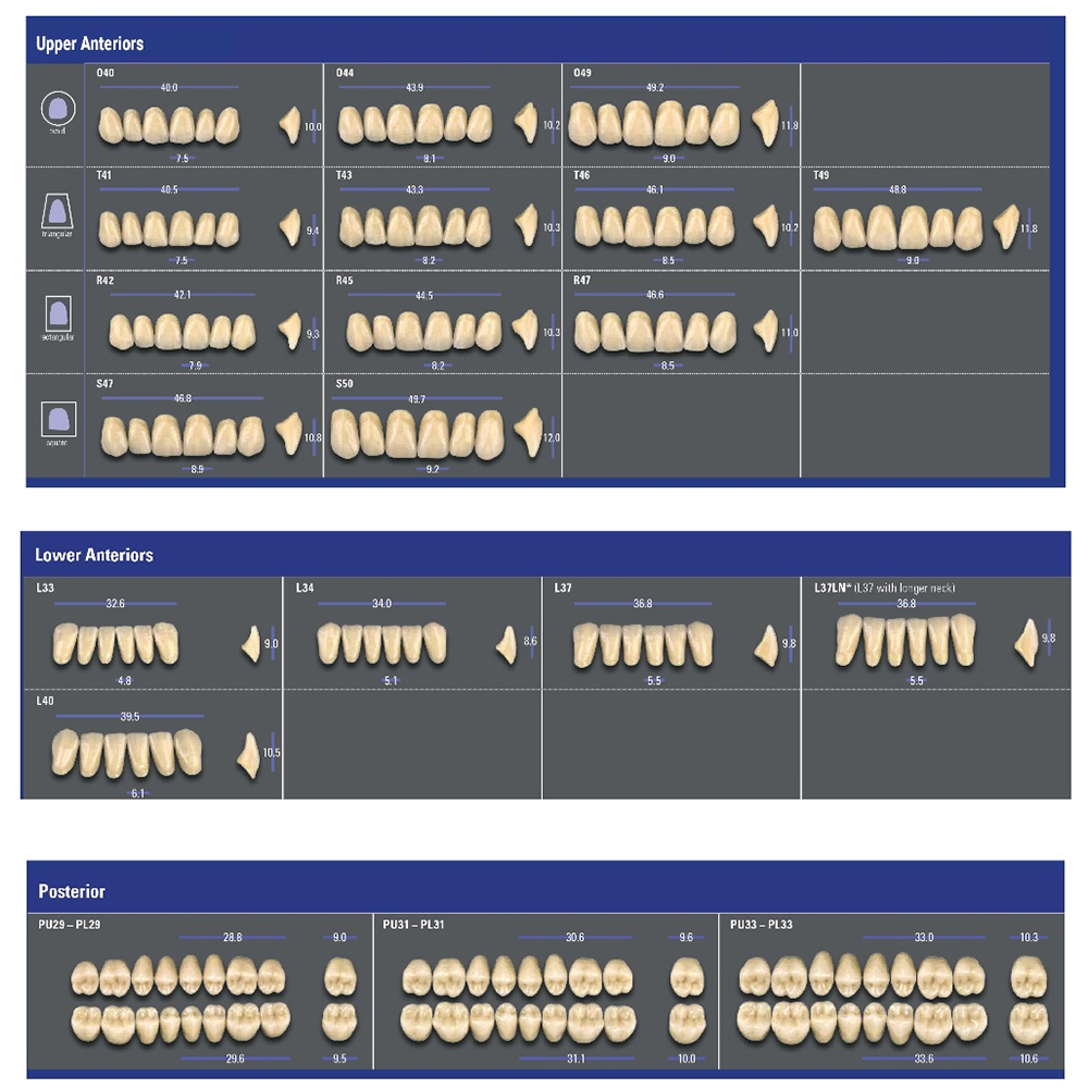 Vita MFT Denture Teeth 1M1 (Set of 28)