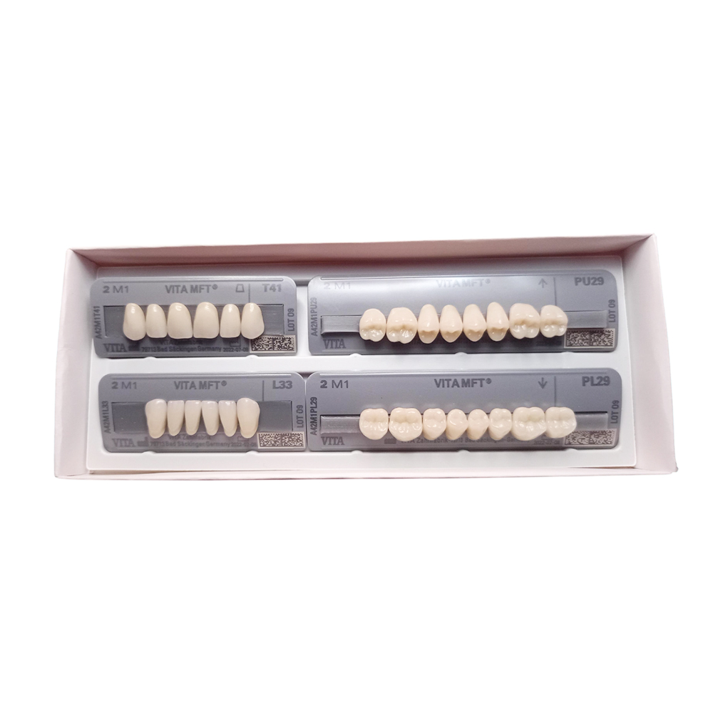 Vita MFT Denture Teeth T41-2M1 (Set of 28)