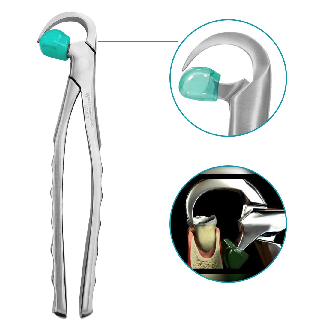 Waldent Physics Forceps - Pack of 1 W-200 1/141