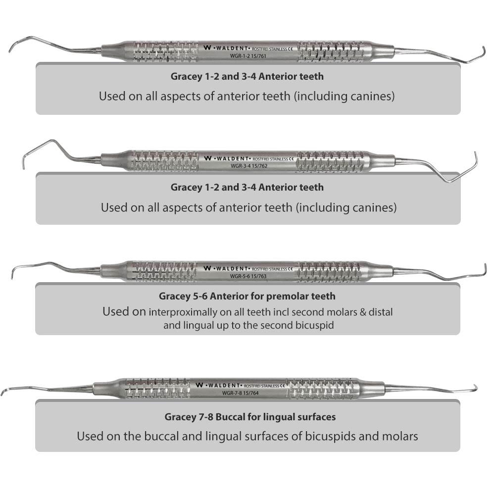 MEDSPO Periodontal Gracey Curettes Set Of 7 With Cassette - Dental Surgical Instruments