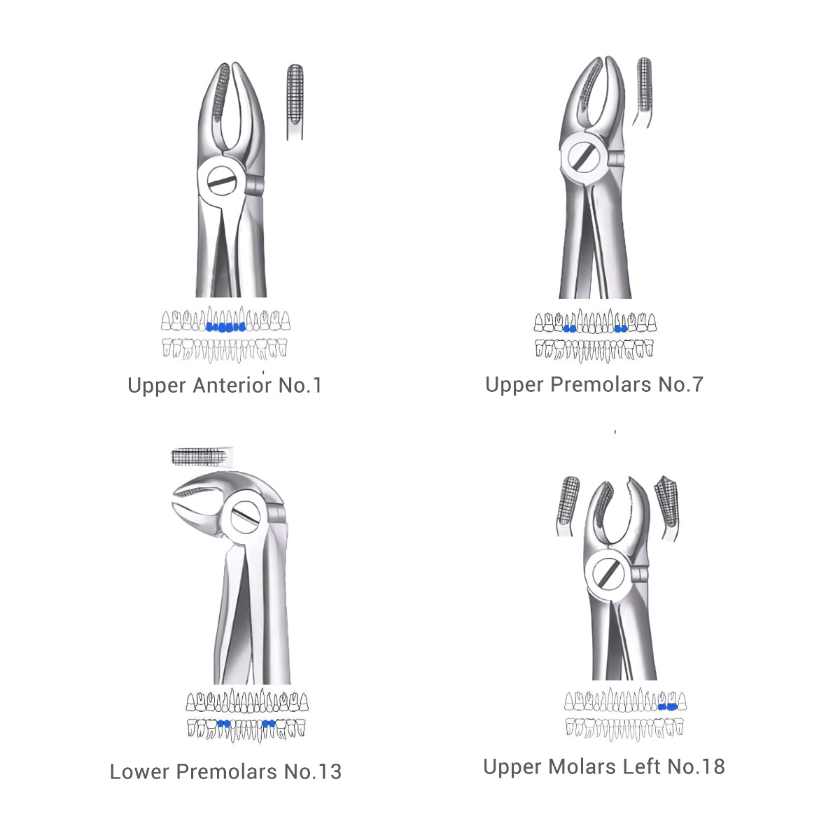 Waldent Extraction Forceps Kit Set of 12 (K1/1)     
