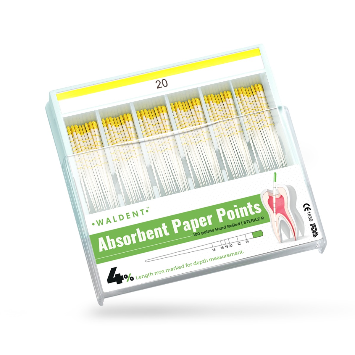 Waldent Paper Points 4% (Length Marked)