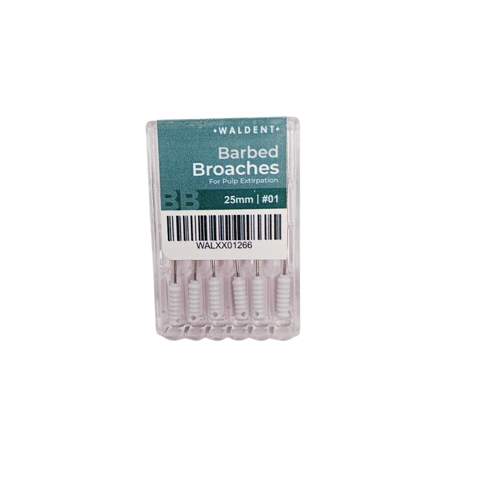 Waldent Barbed Broaches 25mm # 01 (Pack of 6)