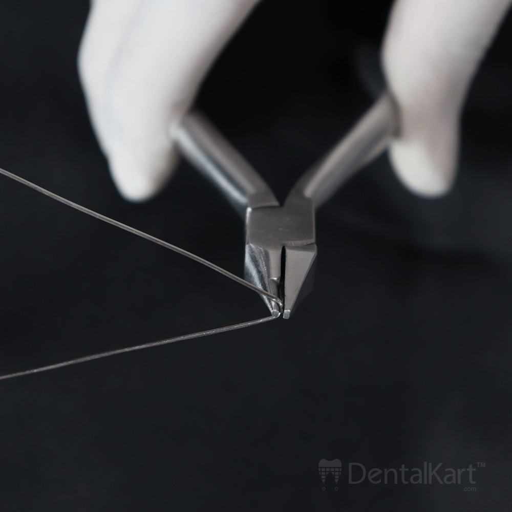 Waldent Bird Beak - Long Pliers 10/127