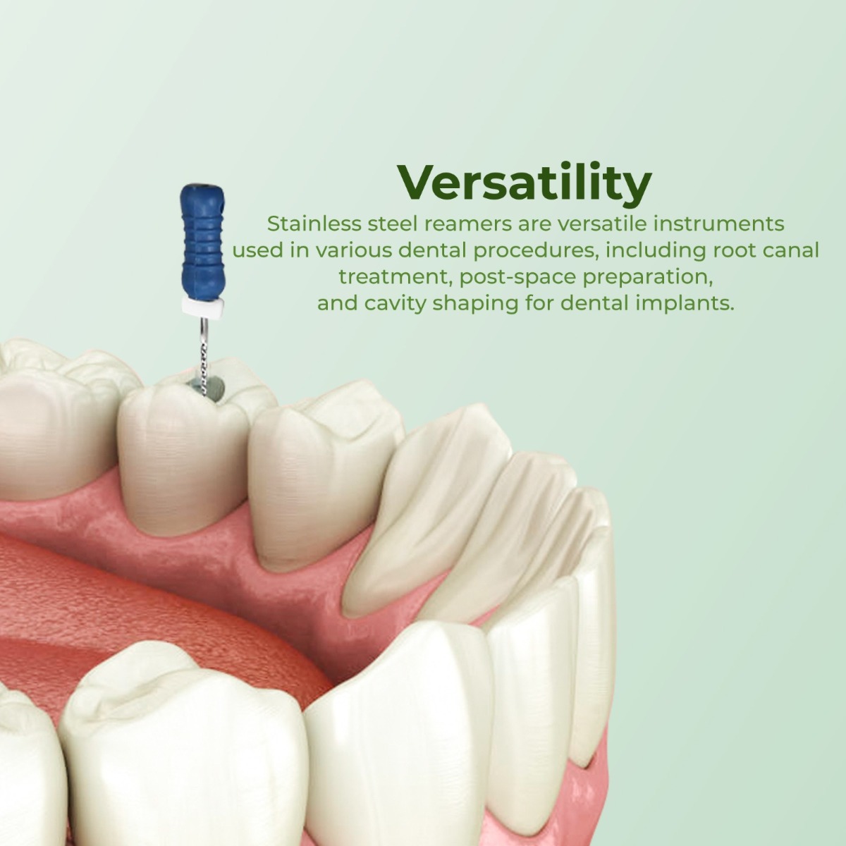 Waldent Reamers 21mm (Pack of 6)