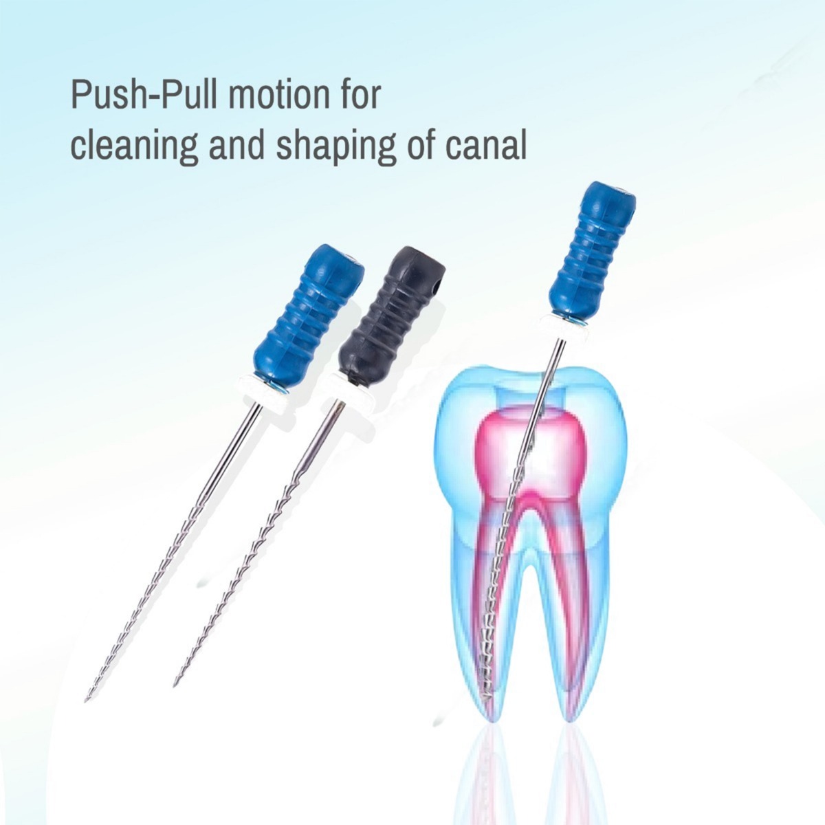 Waldent Professional H-File 21mm