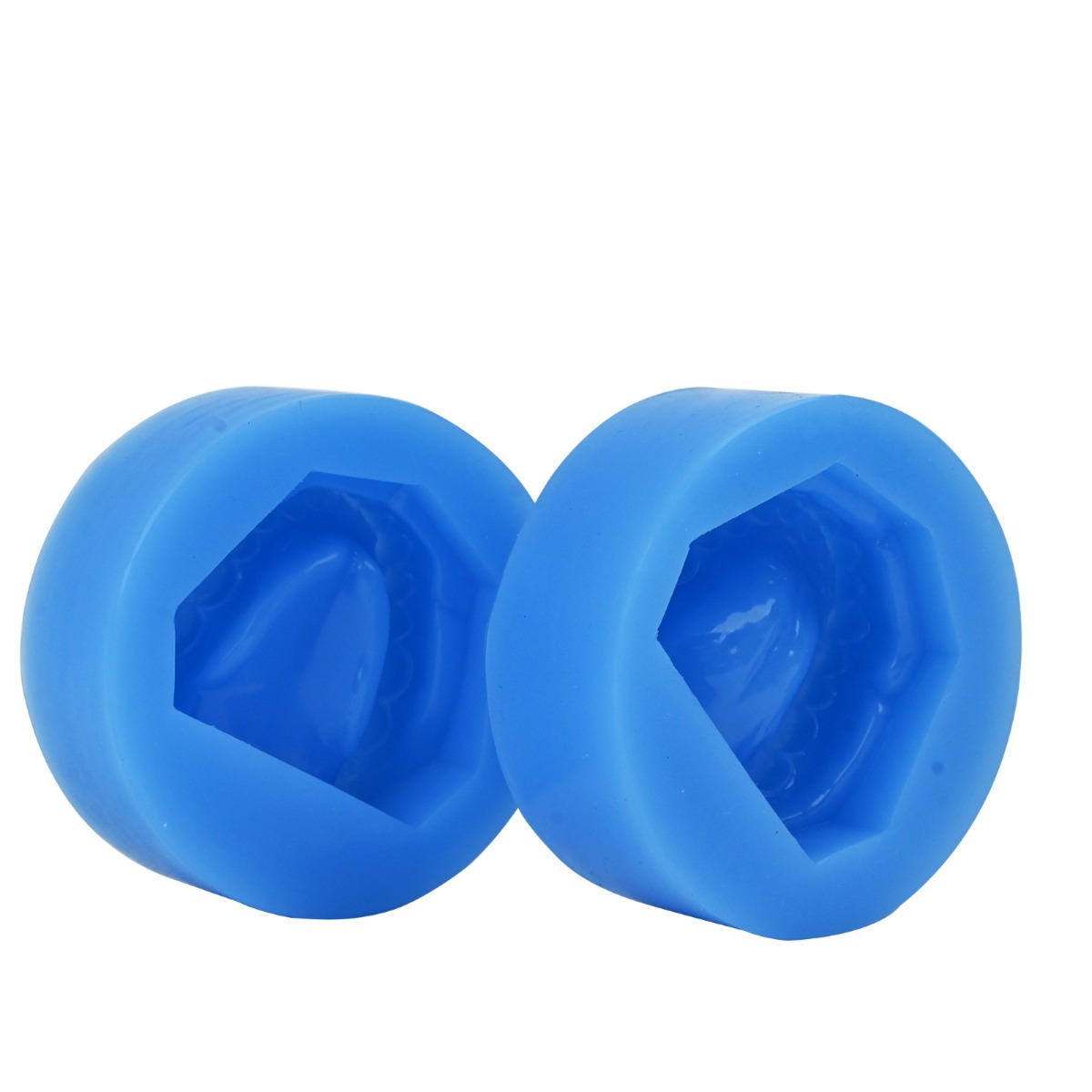 iDENTical Complete Dentulous Cast Moulds -Blue M8019