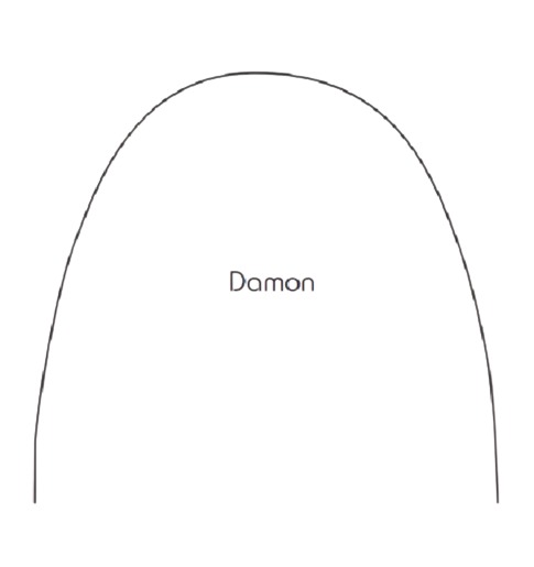 OSL Copper NiTi Archwires Damon Form