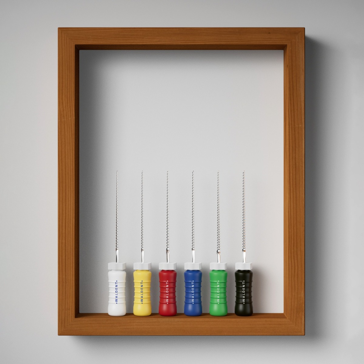 Waldent Professional K-File 21mm 