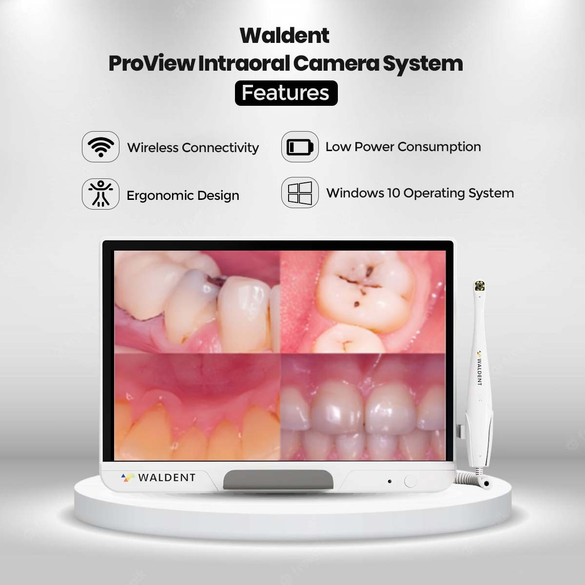 Waldent ProView Intraoral Camera System
