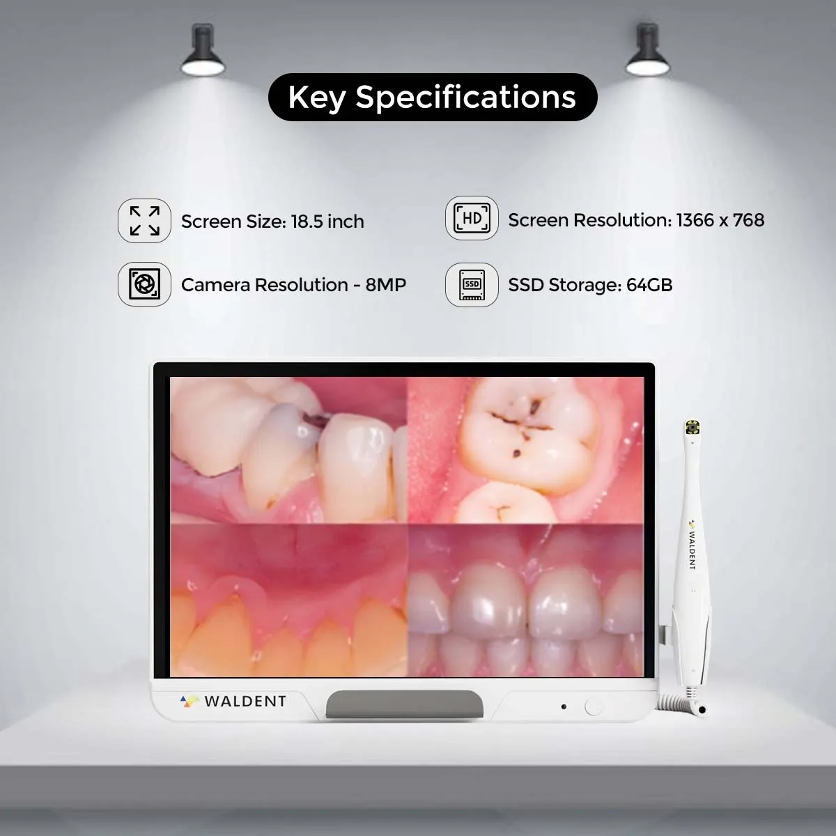 Waldent ProView Intraoral Camera System