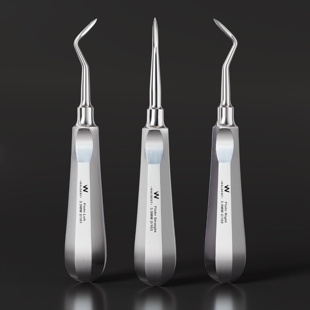 Waldent Root Elevator Instruments Kit Set of 11 K2/4