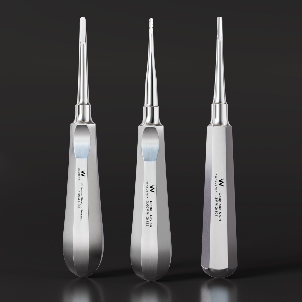 Waldent Root Elevator Instruments Kit Set of 11 K2/4