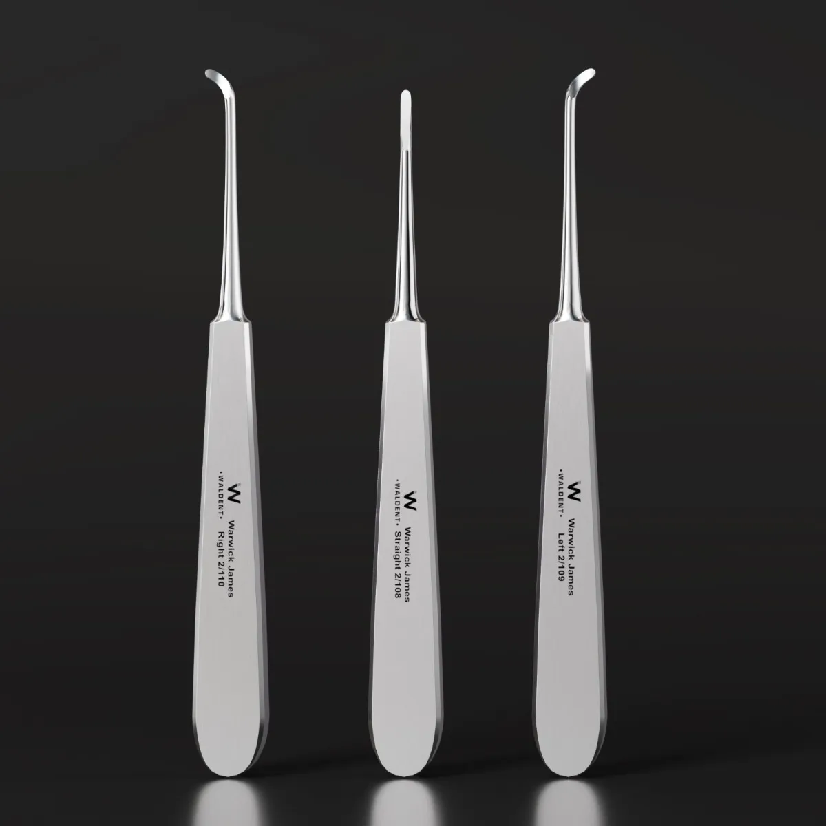 Waldent Root Elevator Instruments Kit Set of 11 K2/4