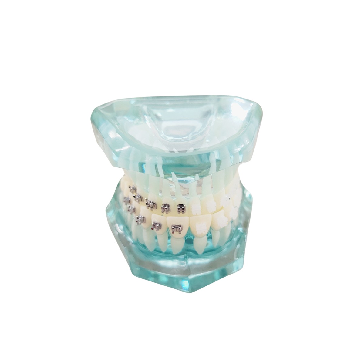 iDENTical Half Metal and Half Ceramic Brackets Orthodontic Models M3003
