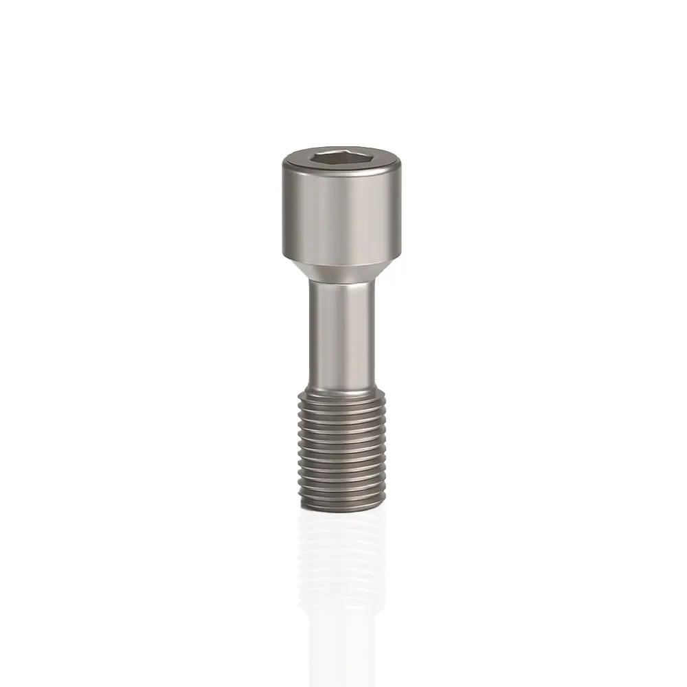 EZ Fit Biohorizon Regular Compatible Titanium Abutment Screw - EZ-009A