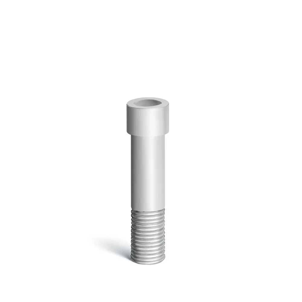 EZ Fit Dentium Compatible Titanium Abutment Screws