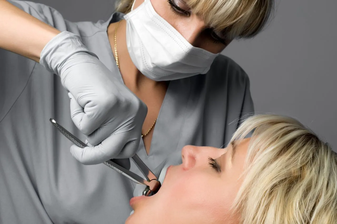 Waldent Tooth Extraction Forceps